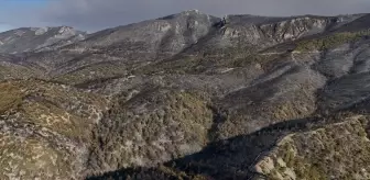 Geyve'deki Orman Yangını Hava İzleme ile Kaydedildi