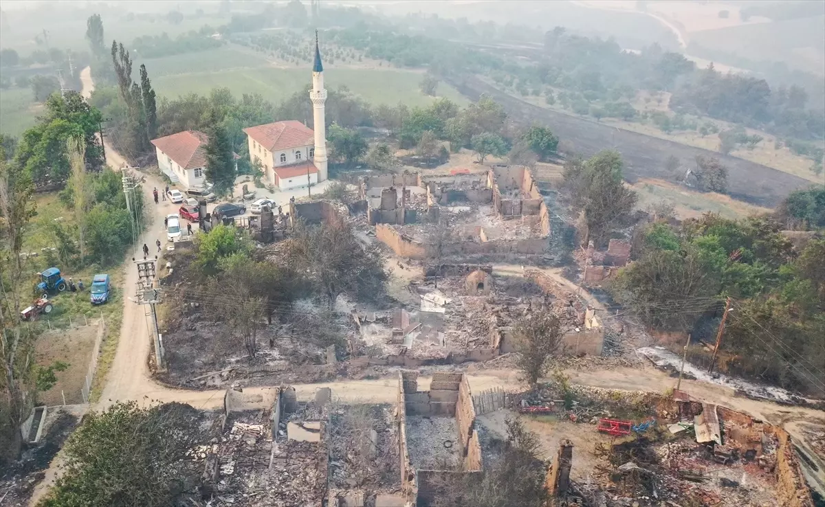 Sakarya'da Orman Yangını Kontrol Altına Alınmaya Çalışılıyor