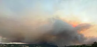Sakarya ve Bilecik'te Orman Yangını Kontrol Altına Alınmaya Çalışılıyor