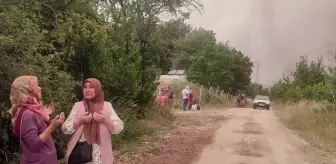 Sakarya'da Orman Yangını Kontrol Altına Alınmaya Çalışılıyor