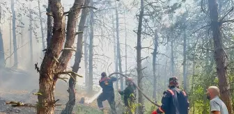 Sakarya'daki Orman Yangını Kontrol Altına Alındı
