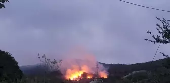 Geyve'de Orman Yangını Kontrol Altına Alındı