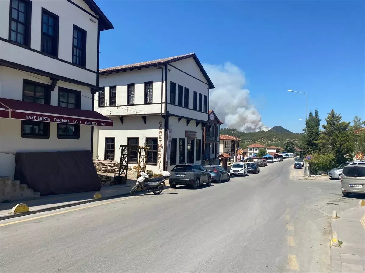 Sakarya'nın Taraklı İlçesinde Orman Yangını