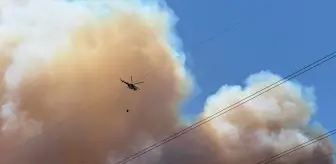 Sakarya'nın Geyve İlçesinde Orman Yangını Çıktı