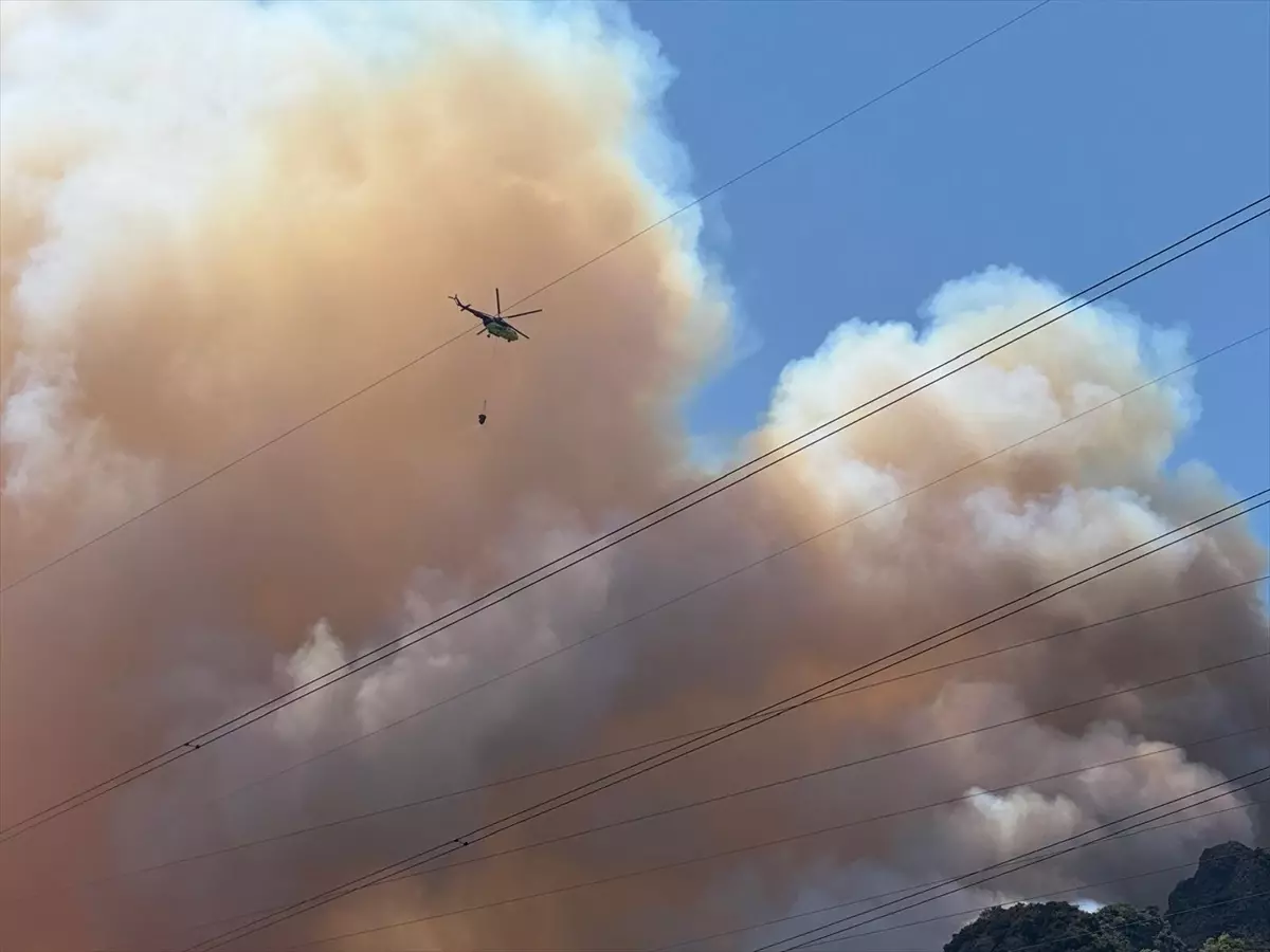 Sakarya'nın Geyve İlçesinde Orman Yangını Çıktı