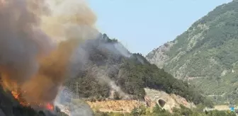 Geyve'de Orman Yangını: Havadan ve Karadan Mücadele Sürüyor