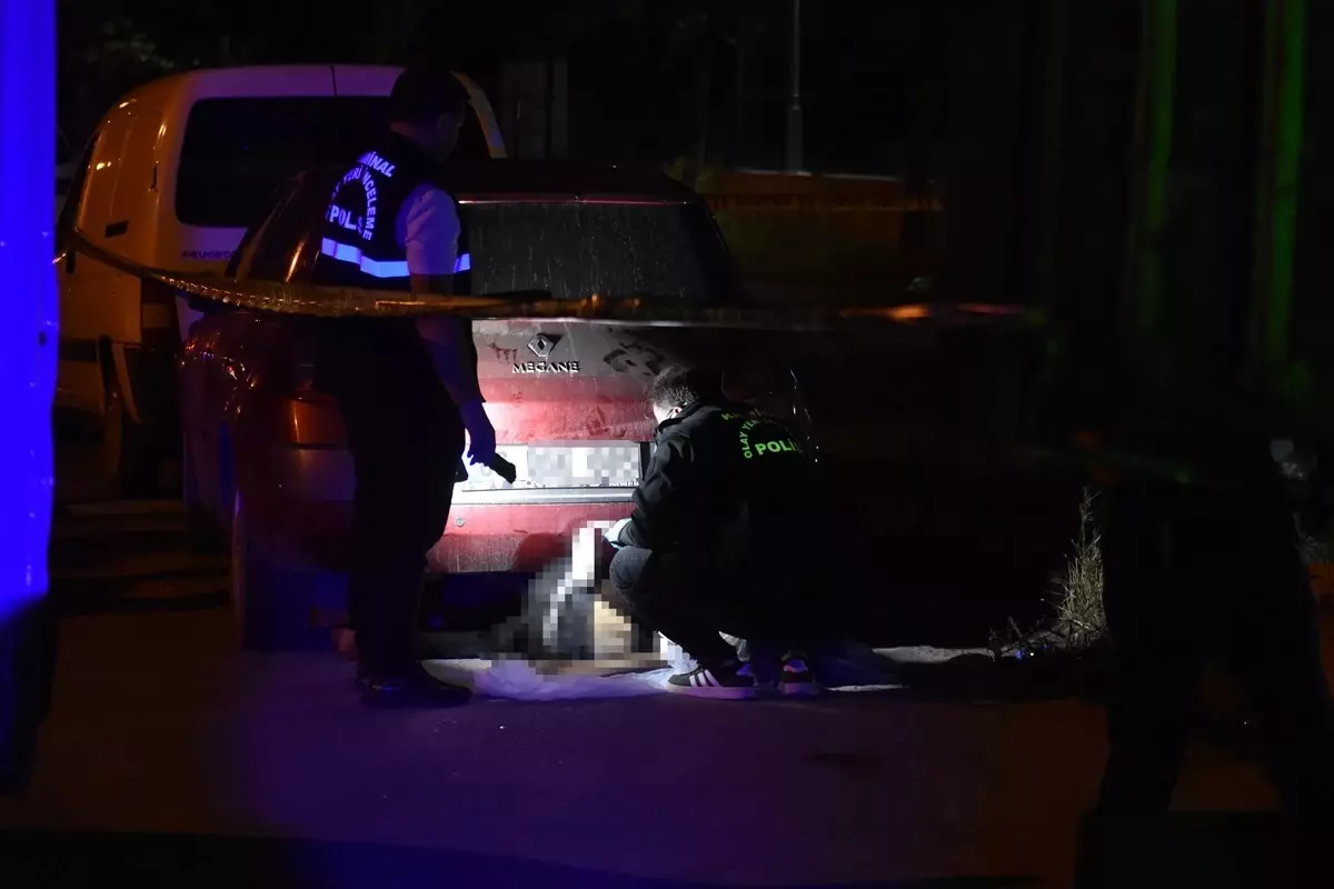 Sakarya'da Bisiklet Sürücüsü Otomobil Çarpması Sonucu Hayatını Kaybetti