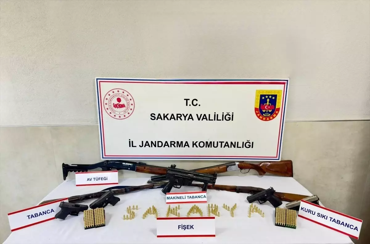 Sapanca'da Silah Kaçakçılığı Operasyonu: 1 Tutuklama