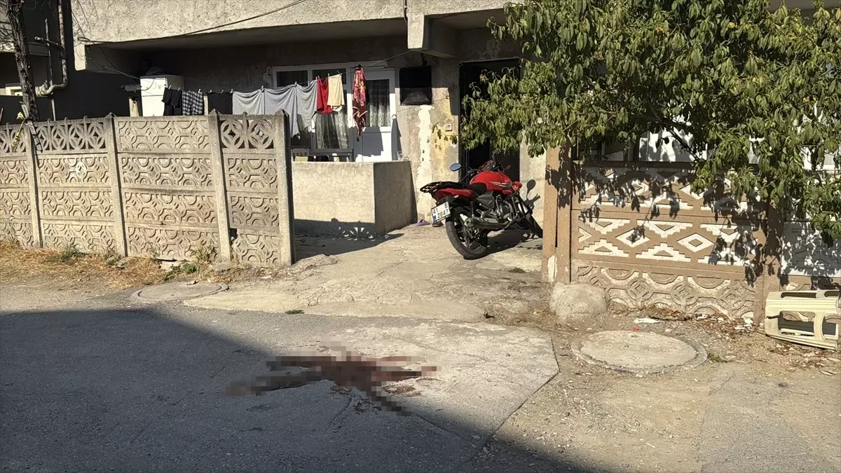 Tartışma Kanlı Bitti: Baba Pompalı Tüfekle Yaralandı
