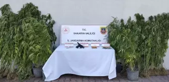 Geyve'de Uyuşturucu Operasyonu: 1 Zanlı Tutuklandı
