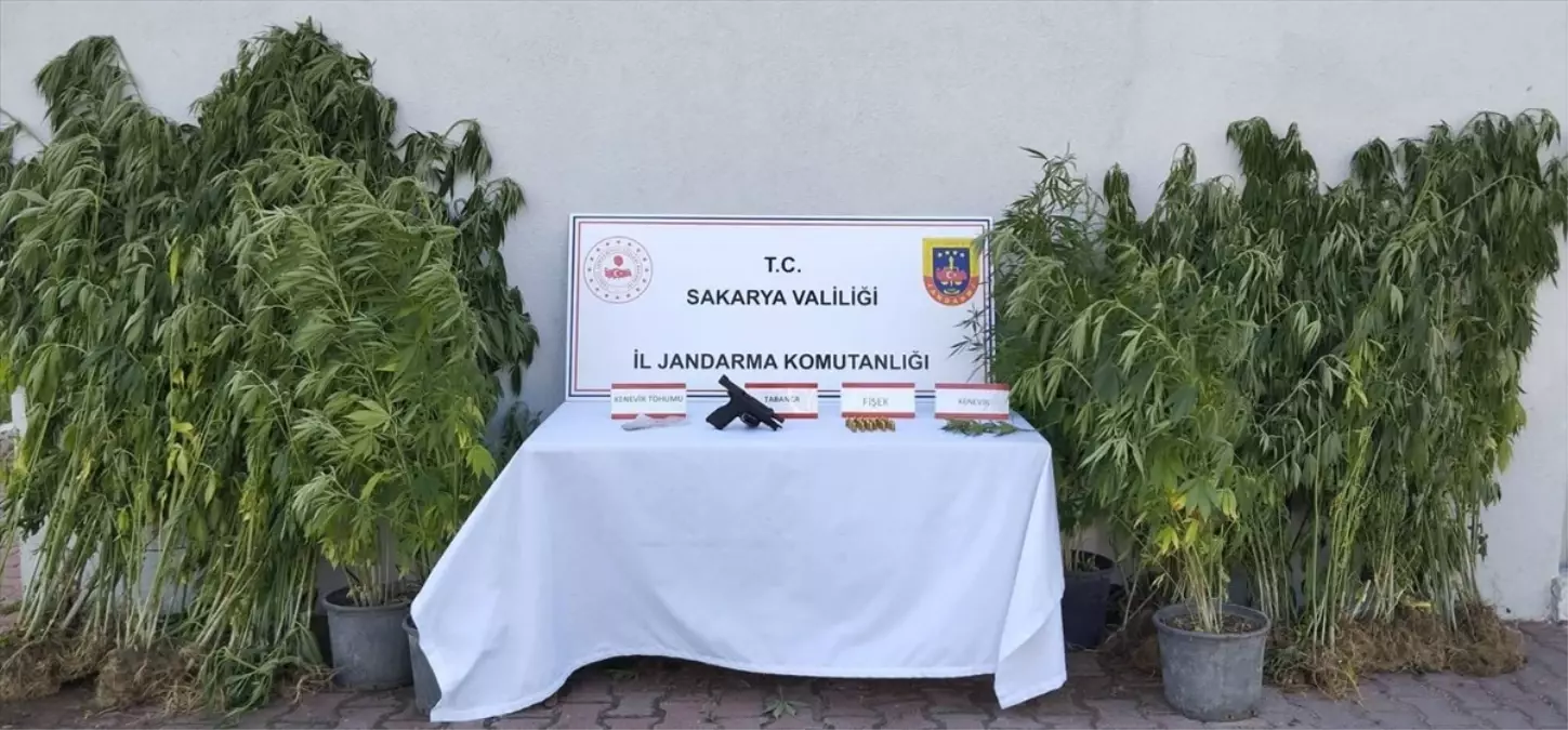 Geyve'de Uyuşturucu Operasyonu: 1 Zanlı Tutuklandı