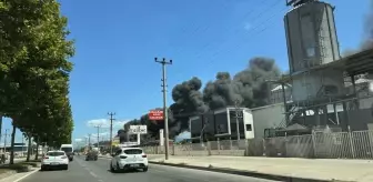 Adapazarı'nda Yedek Parça Deposunda Yangın