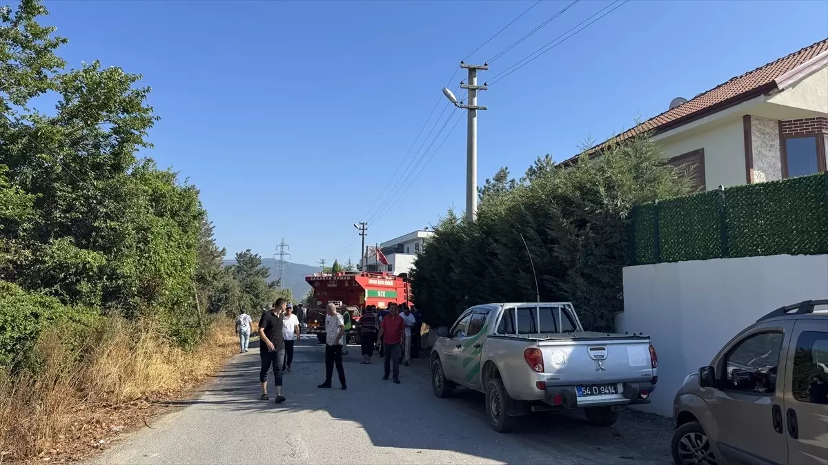 Sakarya'da Orman Yangını Kontrol Altına Alındı