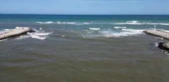 Karasu'daki Balıkçılar Palamut Avına Çıkamıyor