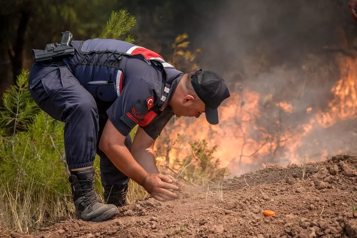 Sakarya'da yangın kontrol altına alınmaya çalışılıyor