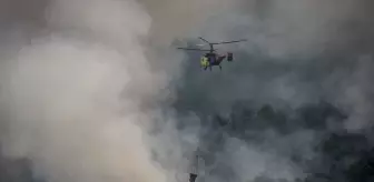 Geyve'deki Orman Yangını Kontrol Altına Alınmaya Çalışılıyor