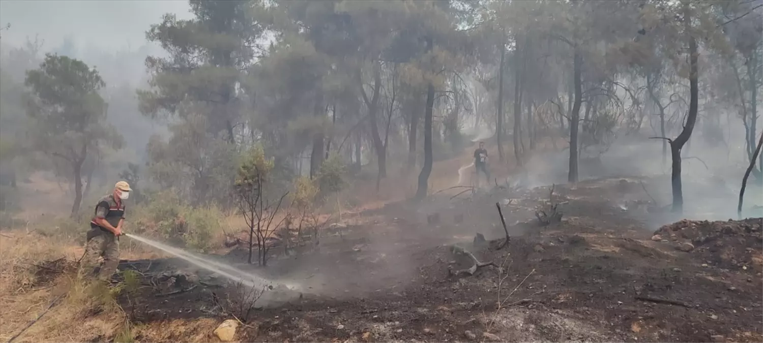 Sakarya ve Bilecik'te Orman Yangını Tesislere Zarar Verdi