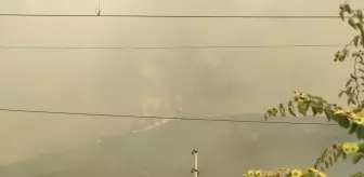 Geyve'deki Orman Yangını Selçik Köyüne Sıçradı