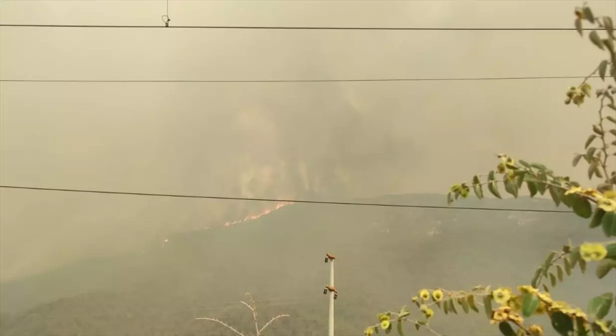 Geyve'deki Orman Yangını Selçik Köyüne Sıçradı
