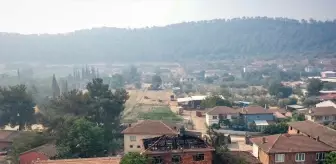 Sakarya'daki Orman Yangını Kontrol Altına Alınıyor