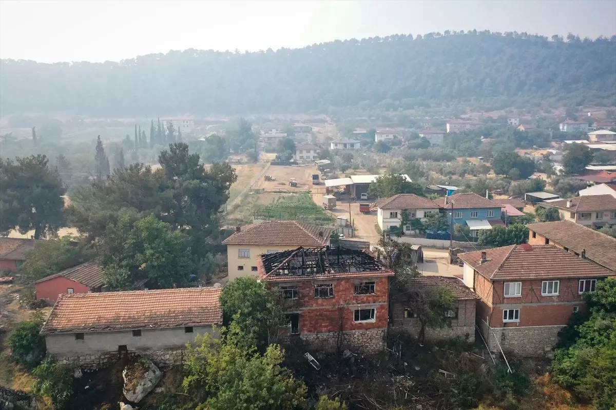 Sakarya'daki Orman Yangını Kontrol Altına Alınıyor