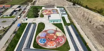 Sakarya'da Doğal Yaşam Kampüsü Ekim'de Açılıyor
