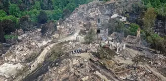 Sakarya'daki Orman Yangını Bilecik'e Sıçradı, Köprücek Köyü Zarar Gördü
