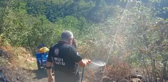 Samsun'da Fındık Bahçesinde Yangın