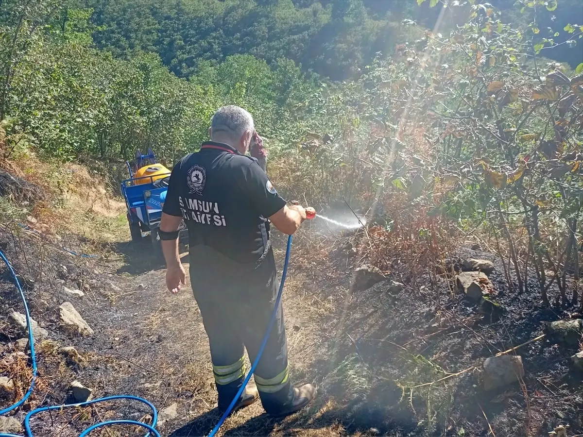 Samsun'da Fındık Bahçesinde Yangın
