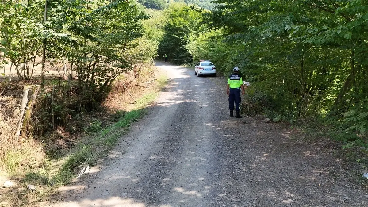 Salıpazarı'nda Orman Yangınları ve Boğulma Olaylarına Karşı Dronlu Tedbirler