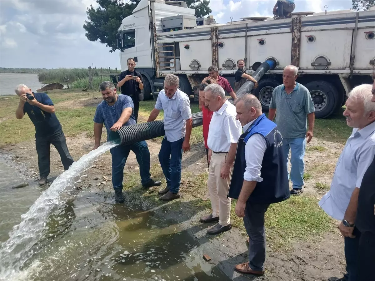 Samsun'da İç Su Kaynaklarına 2 Milyon Yavru Sazan Salındı