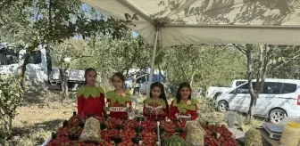 Samsun Alaçam'da Çilek Festivali Düzenlendi