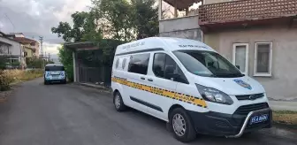 Ağaçtan Düşen Kadın Hastaneye Kaldırıldı