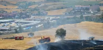 Samsun'da Anız Yangını: 10 Dekar Tarım Arazisi Zarar Gördü