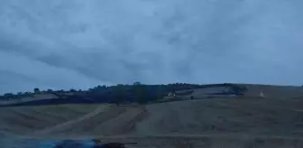 Samsun'da Anız Yangını Kontrol Altına Alındı