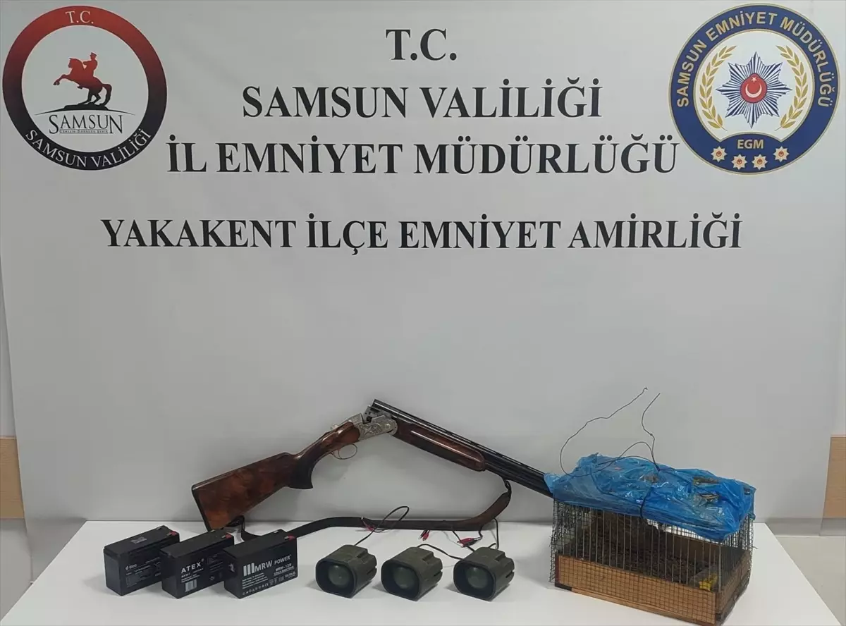 Kaçak Avcılık Yöntemi Yakalandı: Bıldırcınla Tuzağa Düşürülen Yaban Hayvanları