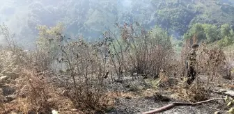 Samsun Salıpazarı'nda Orman Yangını Kısa Sürede Söndürüldü