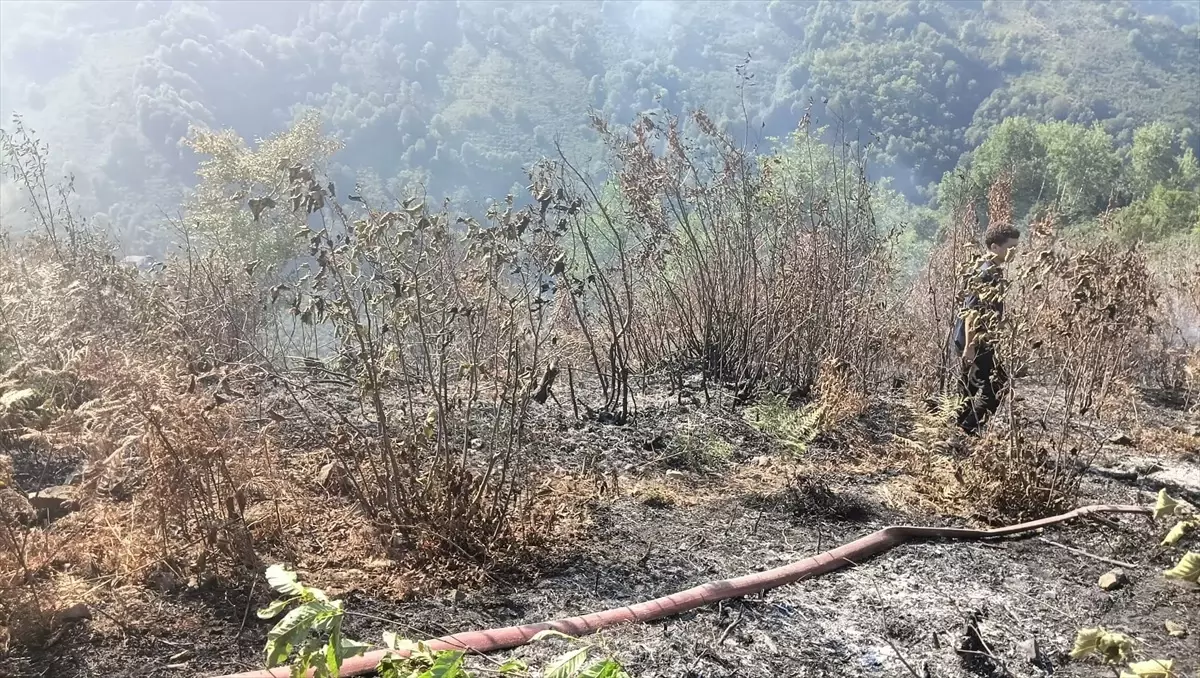 Samsun Salıpazarı'nda Orman Yangını Kısa Sürede Söndürüldü