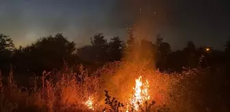 Samsun Alaçam'da Kıyıda Yangın Kontrol Altına Alındı