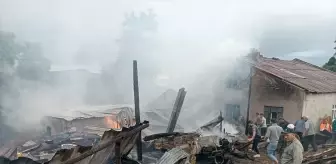Samsun'un Ayvacık İlçesinde Yangın: Bir Koyun Telef Oldu