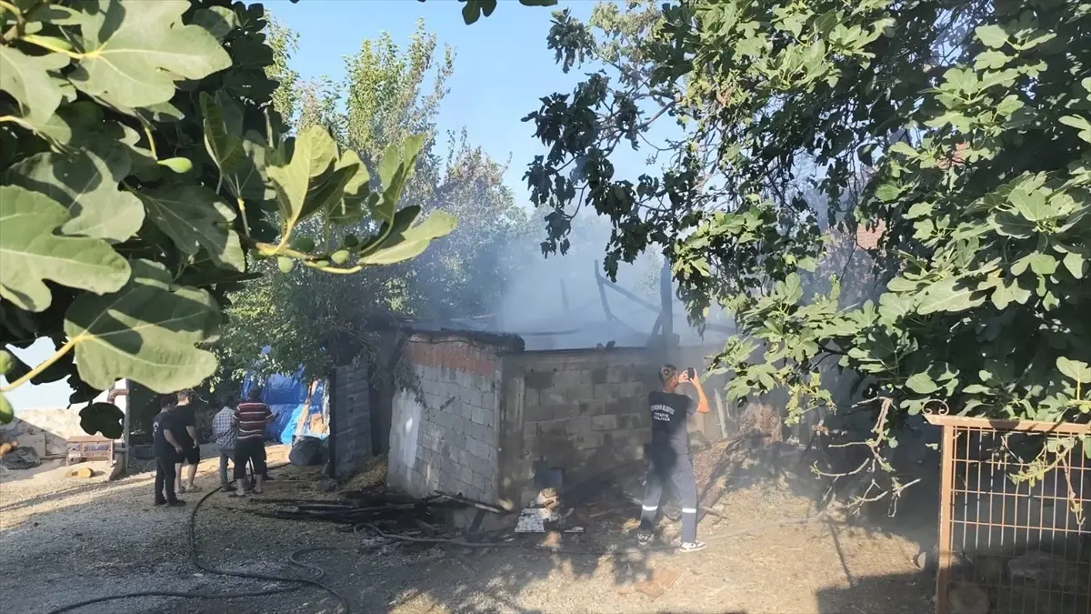 Samsun'un Alaçam ilçesinde Samanlık Yangını