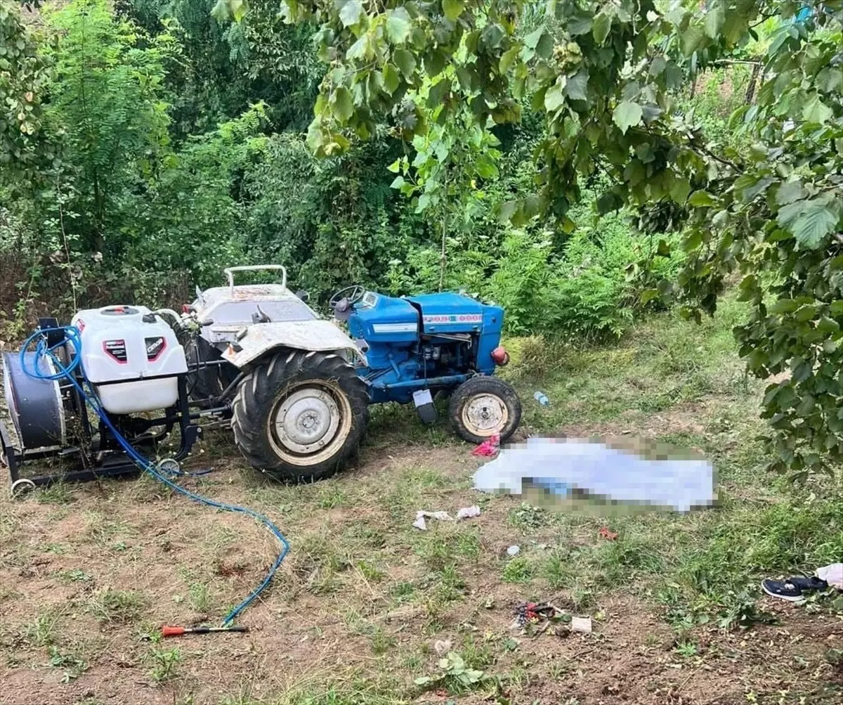 Fındık Tarlasında Traktör Devrildi: Sürücü Hayatını Kaybetti