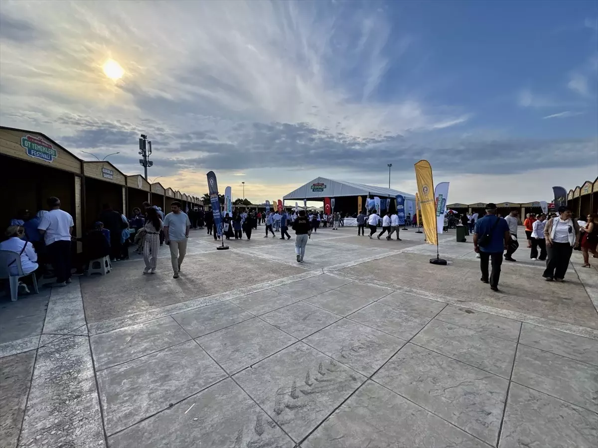 Samsun'da 8. Yöresel Ot Yemekleri Festivali Düzenleniyor