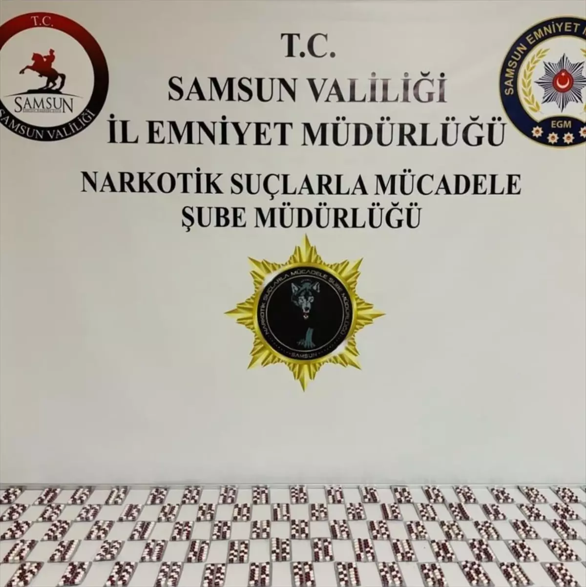 Samsun'da Uyuşturucu Operasyonu: 1 Gözaltı ve Çok Sayıda Ele Geçirilen Madde