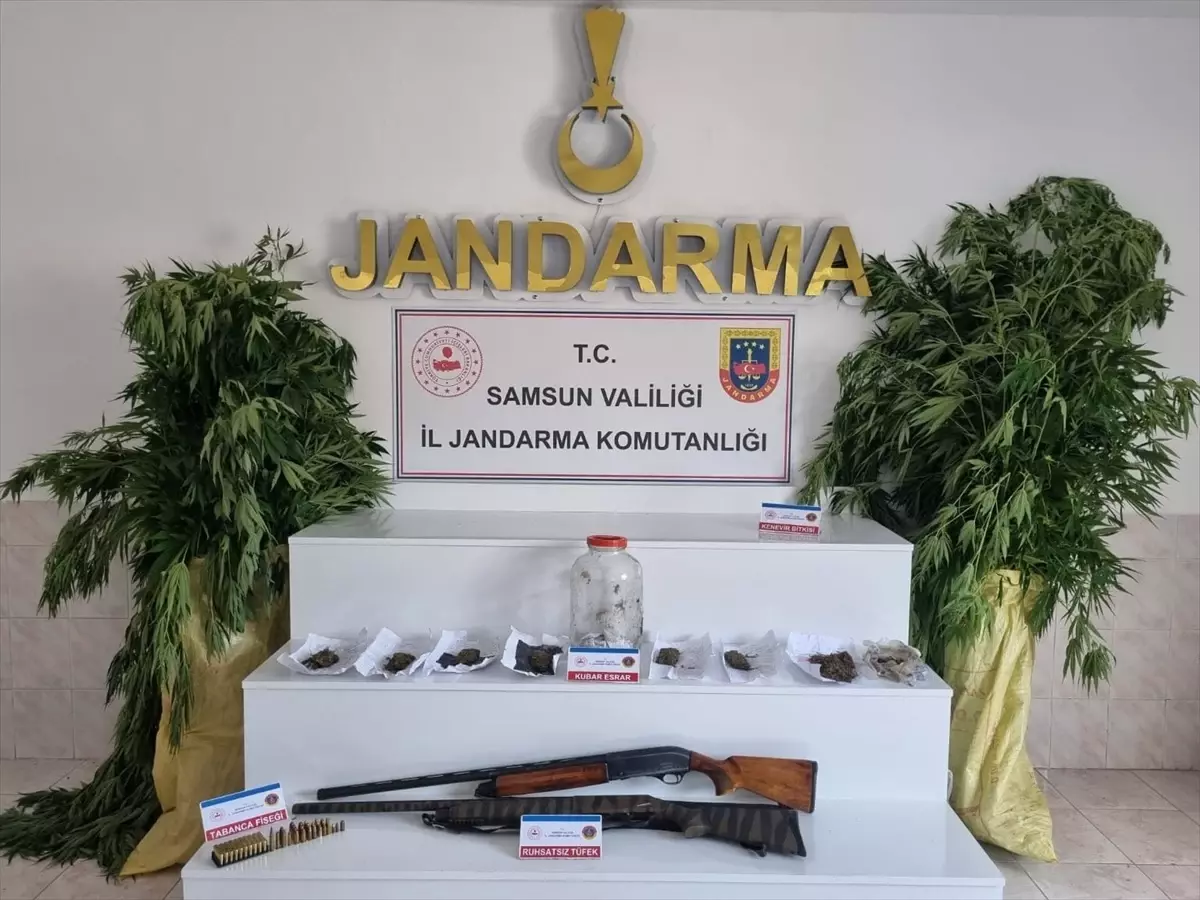 Bafra'da Uyuşturucu Operasyonu: 1 Gözaltı, Çok Sayıda Uyuşturucu Madde Ele Geçirildi