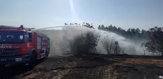 Samsun'da Tarım Arazisinde Yangın: 40 Dönüm Zarar Gördü