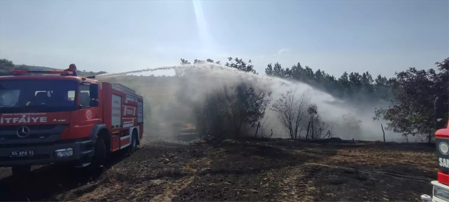 Samsun'da Tarım Arazisinde Yangın: 40 Dönüm Zarar Gördü