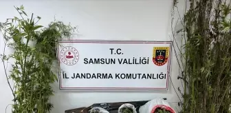 Samsun'da 9 Kilo Esrar Ele Geçirildi