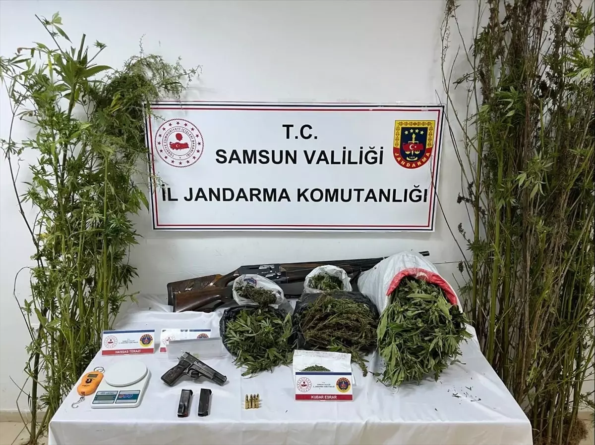 Samsun'da 9 Kilo Esrar Ele Geçirildi