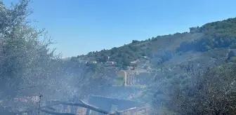 Bafra'da Fındık Bahçesinde Yangın Çıktı